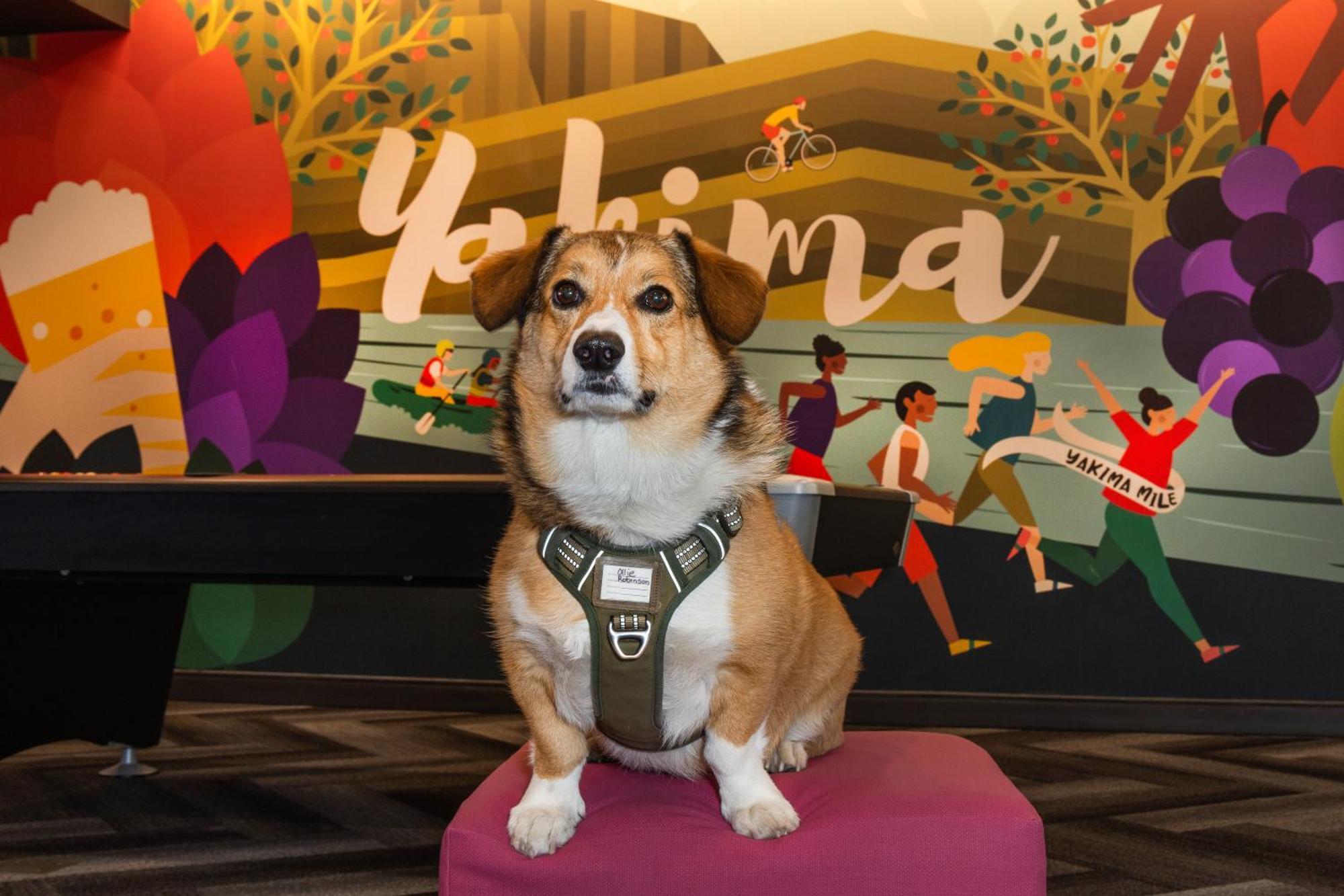 ホテル Tru By Hilton Yakima Airport エクステリア 写真